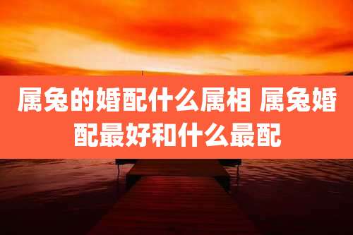 属兔的婚配什么属相 属兔婚配最好和什么最配