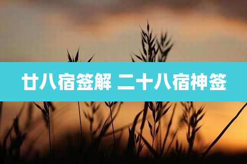 廿八宿签解 二十八宿神签