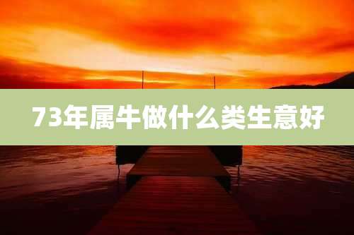 73年属牛做什么类生意好