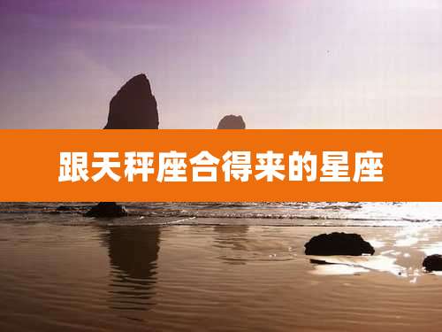 跟天秤座合得来的星座