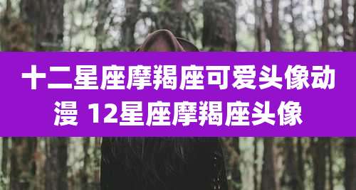 十二星座摩羯座可爱头像动漫 12星座摩羯座头像