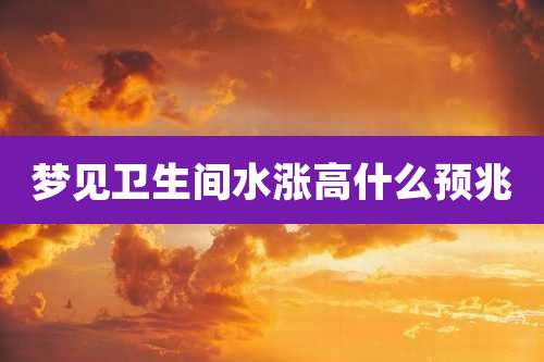梦见卫生间水涨高什么预兆
