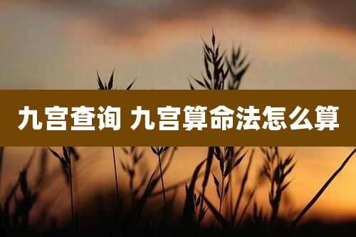 九宫查询 九宫算命法怎么算