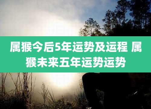 属猴今后5年运势及运程 属猴未来五年运势运势