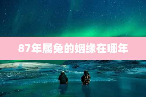 87年属兔的姻缘在哪年