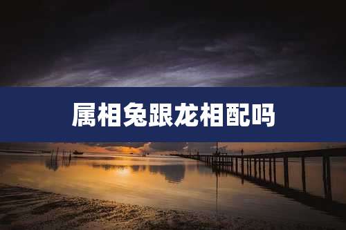 属相兔跟龙相配吗