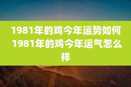1981年的鸡今年运势如何 1981年的鸡今年运气怎么样