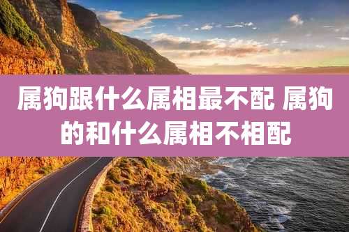 属狗跟什么属相最不配 属狗的和什么属相不相配