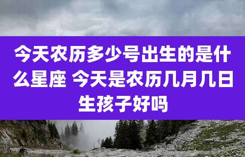 今天农历多少号出生的是什么星座 今天是农历几月几日生孩子好吗