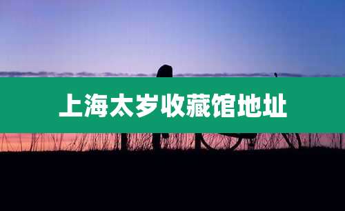 上海太岁收藏馆地址