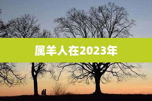 属羊人在2023年