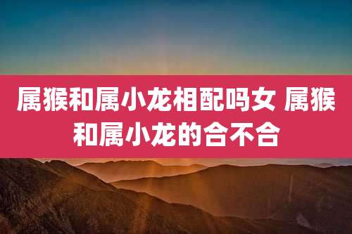 属猴和属小龙相配吗女 属猴和属小龙的合不合
