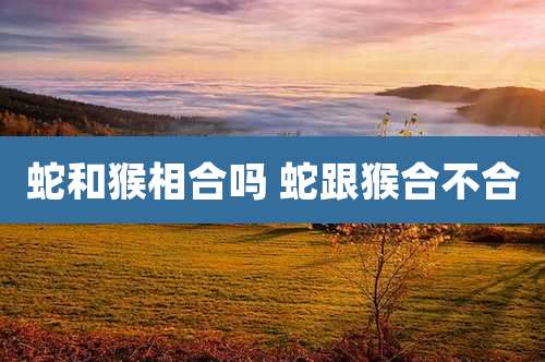 蛇和猴相合吗 蛇跟猴合不合