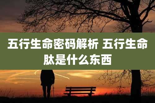 五行生命密码解析 五行生命肽是什么东西