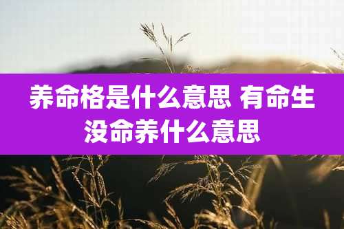 养命格是什么意思 有命生没命养什么意思