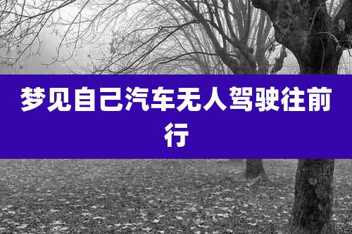 梦见自己汽车无人驾驶往前行