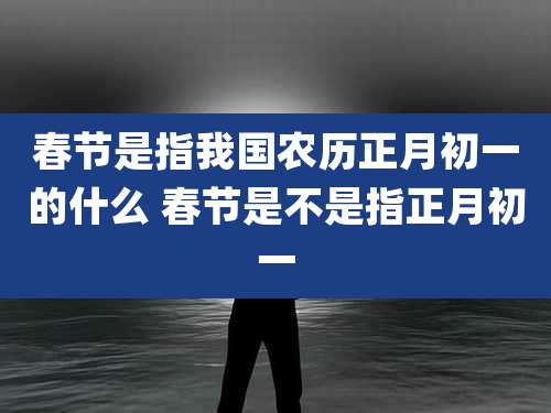 春节是指我国农历正月初一的什么 春节是不是指正月初一