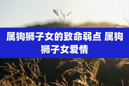 属狗狮子女的致命弱点 属狗狮子女爱情