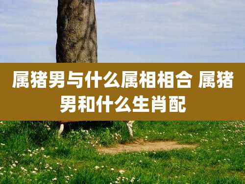 属猪男与什么属相相合 属猪男和什么生肖配