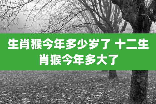 生肖猴今年多少岁了 十二生肖猴今年多大了