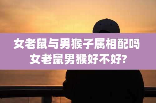 女老鼠与男猴子属相配吗 女老鼠男猴好不好?