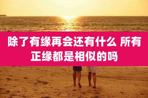 除了有缘再会还有什么 所有正缘都是相似的吗