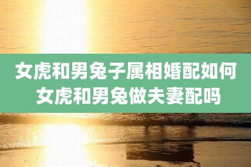 女虎和男兔子属相婚配如何 女虎和男兔做夫妻配吗