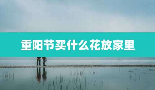 重阳节买什么花放家里