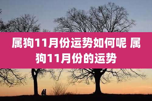 属狗11月份运势如何呢 属狗11月份的运势