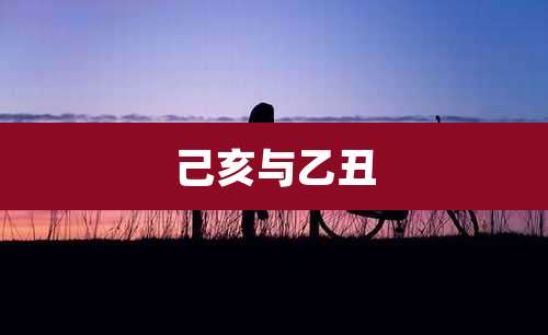 己亥与乙丑