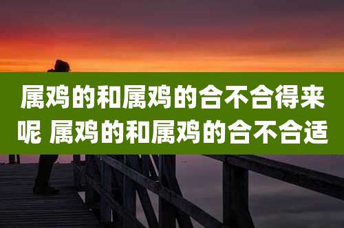 属鸡的和属鸡的合不合得来呢 属鸡的和属鸡的合不合适