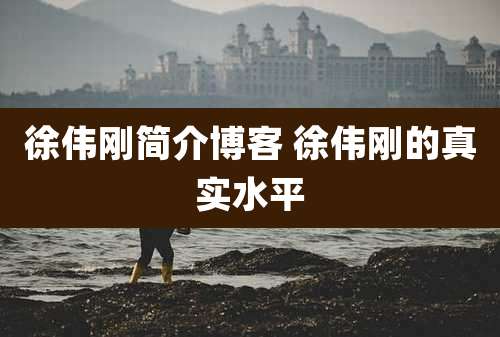 徐伟刚简介博客 徐伟刚的真实水平