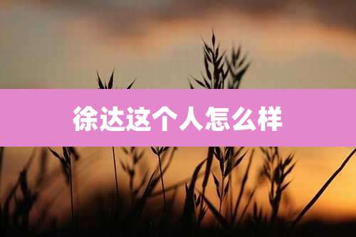 徐达这个人怎么样