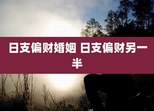 日支偏财婚姻 日支偏财另一半