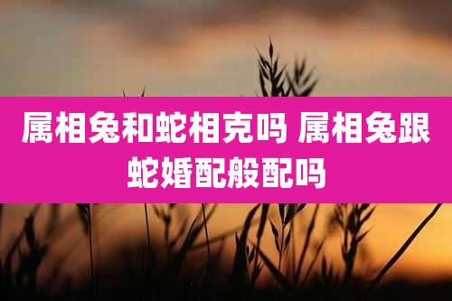 属相兔和蛇相克吗 属相兔跟蛇婚配般配吗