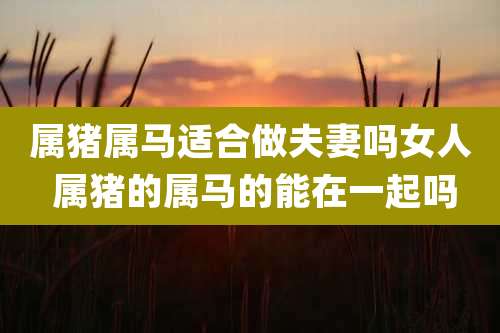 属猪属马适合做夫妻吗女人 属猪的属马的能在一起吗