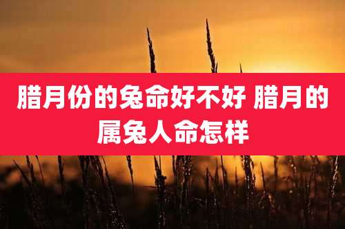 腊月份的兔命好不好 腊月的属兔人命怎样