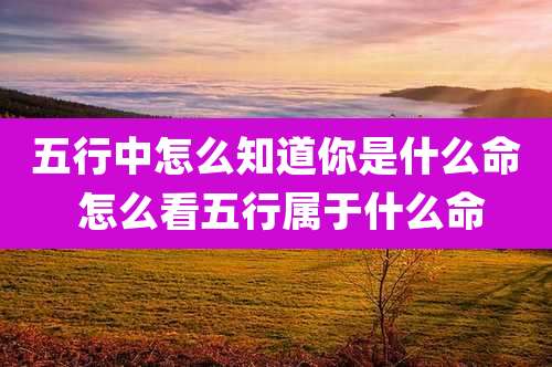 五行中怎么知道你是什么命 怎么看五行属于什么命