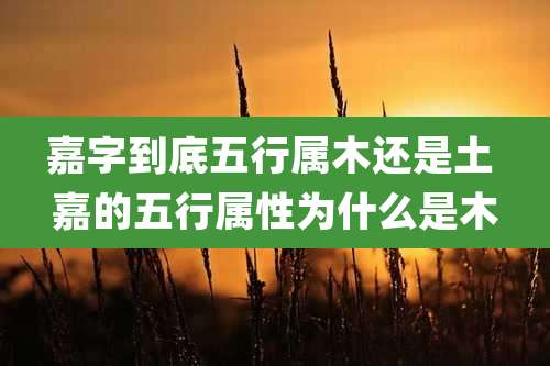 嘉字到底五行属木还是土 嘉的五行属性为什么是木