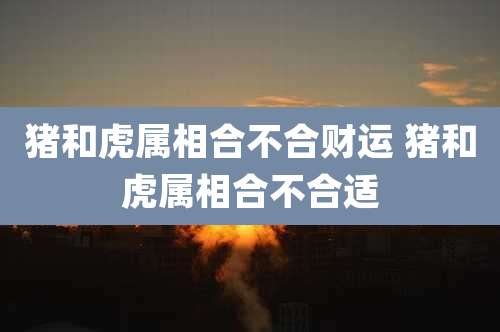 猪和虎属相合不合财运 猪和虎属相合不合适