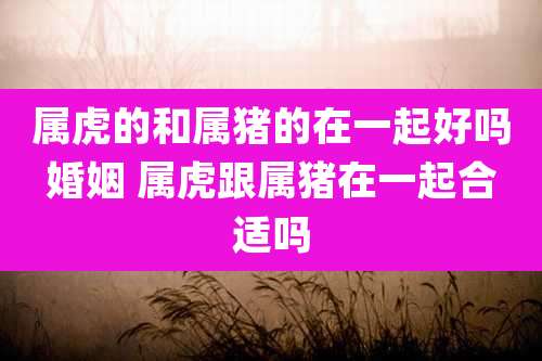 属虎的和属猪的在一起好吗婚姻 属虎跟属猪在一起合适吗