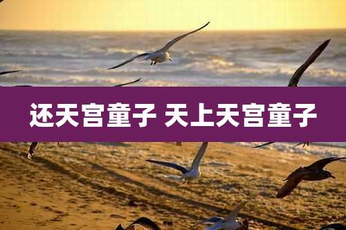 还天宫童子 天上天宫童子