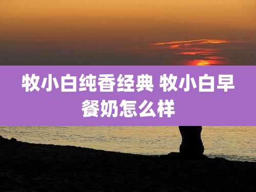 牧小白纯香经典 牧小白早餐奶怎么样