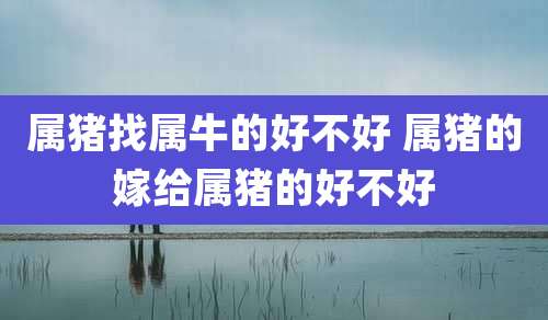 属猪找属牛的好不好 属猪的嫁给属猪的好不好