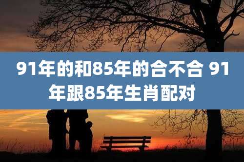91年的和85年的合不合 91年跟85年生肖配对