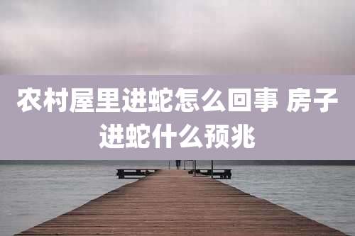 农村屋里进蛇怎么回事 房子进蛇什么预兆