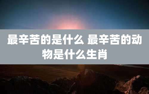 最辛苦的是什么 最辛苦的动物是什么生肖