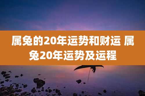 属兔的20年运势和财运 属兔20年运势及运程