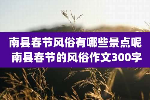 南县春节风俗有哪些景点呢 南县春节的风俗作文300字