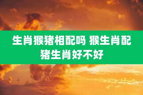 生肖猴猪相配吗 猴生肖配猪生肖好不好